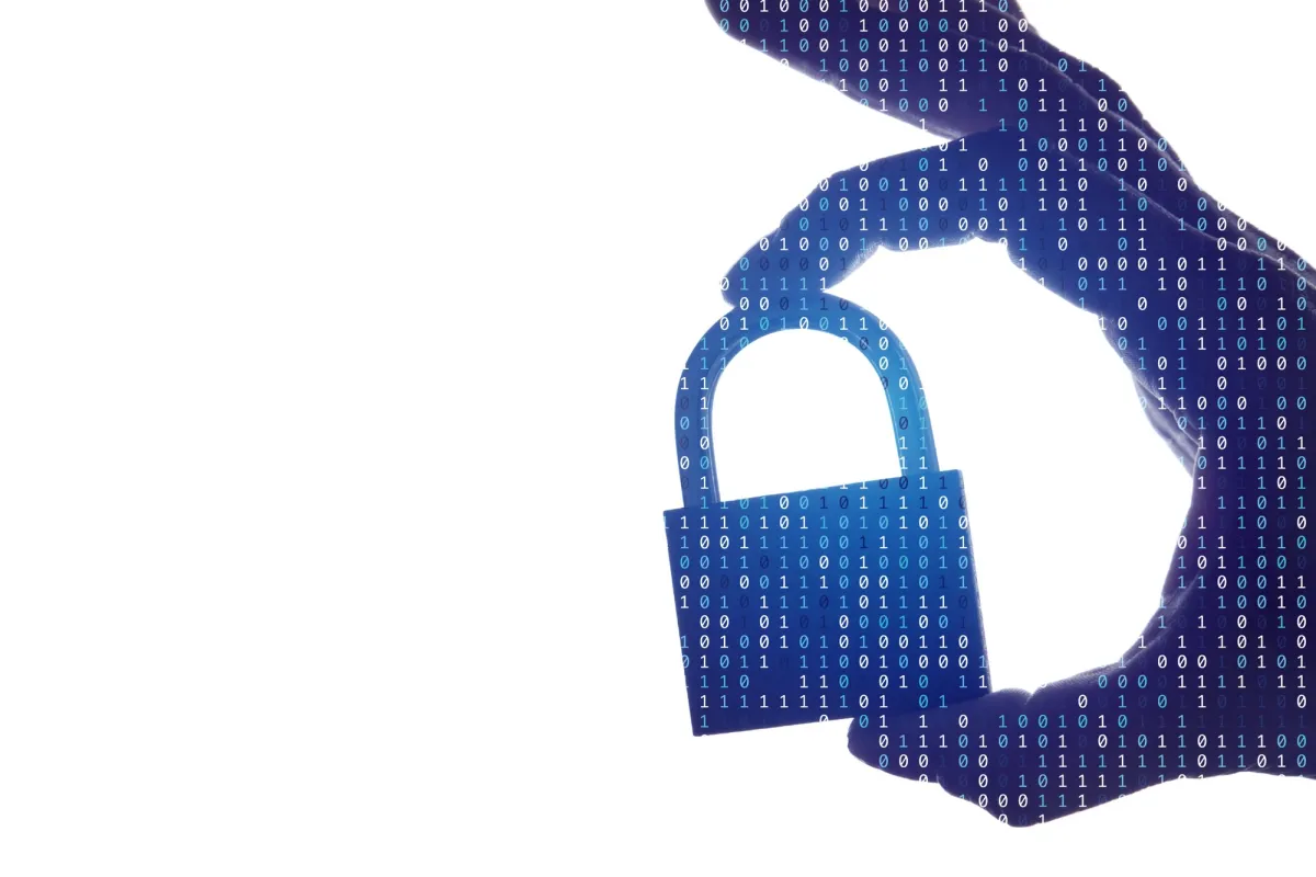 Rikka Law blog post illustration: Data Privacy Day Surprise Enforcement for Loyalty Programs