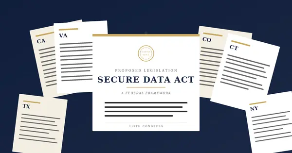 Rikka Law blog post illustration: Federal Privacy on the Horizon: What the SECURE Data Act Could Mean for Businesses