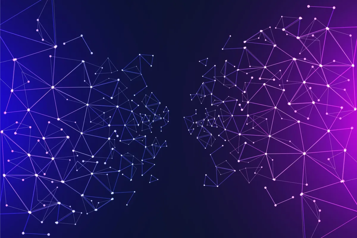 Rikka Law blog post illustration: What Web3 Data Reveals About Gender Inequality in the Crypto Industry