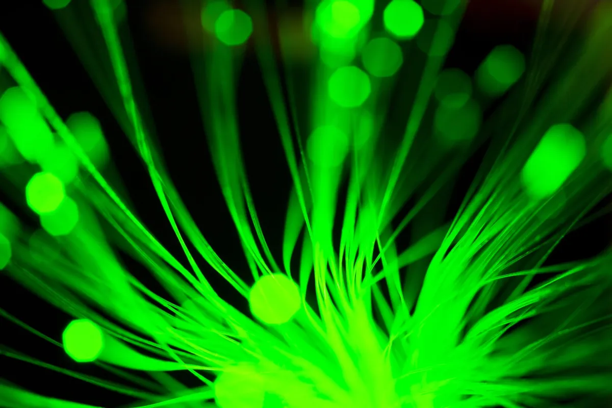 Rikka Law blog post illustration: INSIGHT: Mitigating Data Breach Risks Facing Marijuana Businesses