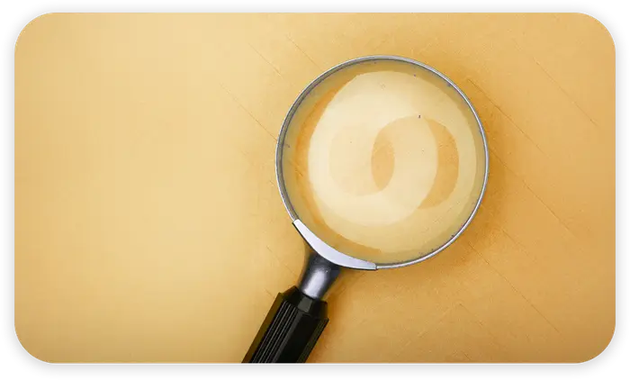 Magnifying glass on an orange background representing Rikka Law's case studies and capability spotlights in technology and AI law
